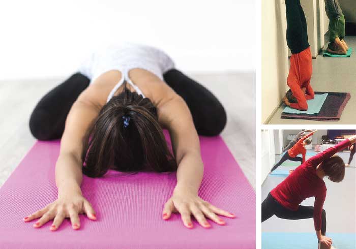 N16 yoga beginners and yoga advanced